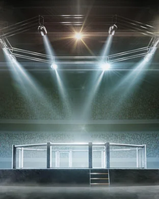 Elite Fight Night 29 sports event