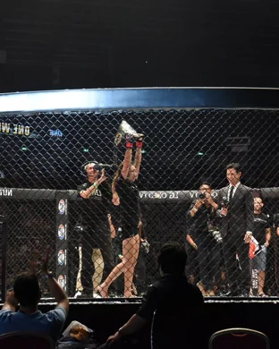 Elite Fight Night