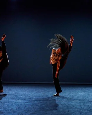 Deeply Rooted Dance Theater